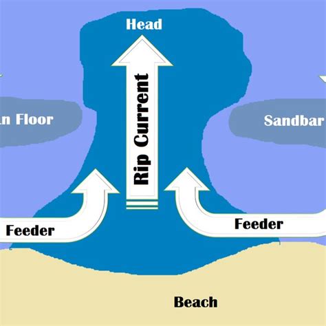 Rip current formation flow | Download Scientific Diagram