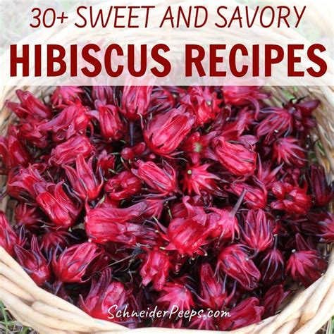 Recipes for Hibiscus Tea and Other Tasty Treats - SchneiderPeeps