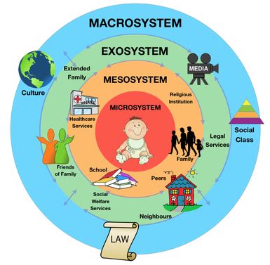 Journal #8: Urie Bronfenbrenner's Ecological Systems Theory﻿ - Study of ...