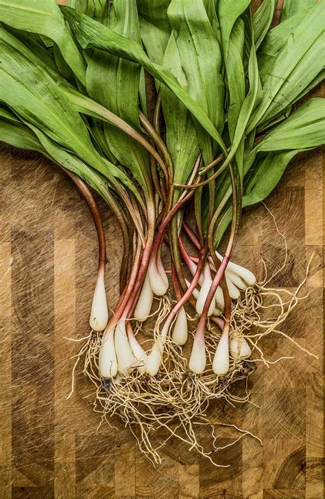 Ramps, mushrooms, fresh chicken... — Acorn Acres Farm (Chesterton, IN)