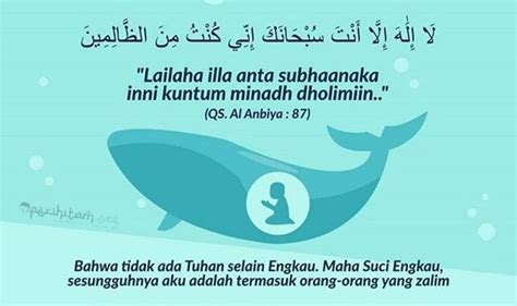 Doa Nabi Yunus Di Dalam Perut Ikan Paus / Kapan Doa Dzun Nun Dipanjatkan Nasihat Sahabat - Jauh ...