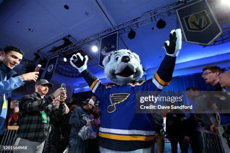 St Louis Mascot Photos and Premium High Res Pictures - Getty Images