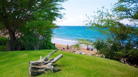 Wailea Beach in Wailea - Tours and Activities | Expedia.ca