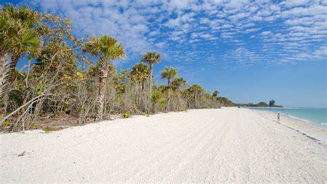 Top 20 Barefoot Beach resort rentals | Vrbo