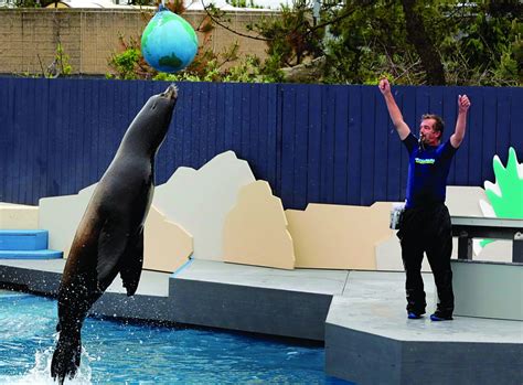 Sandy-Damaged Coney Island Aquarium Reopens | Jewish News | Israel News ...