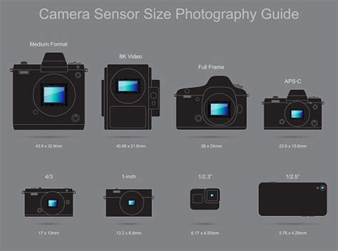 Camera Sensor Size Photography Guide Stock Illustration - Download ...