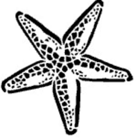 Free Starfish Clip Art - Cliparts.co