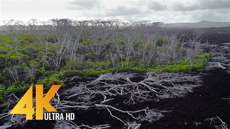 4K Aerial Relax Video - Amazing Lava Fields of Big Island from the Height of Bird's Flight ...