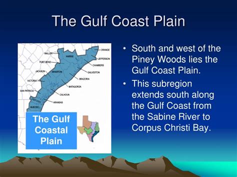 PPT - The Gulf Coastal Plain Region PowerPoint Presentation - ID:3037064