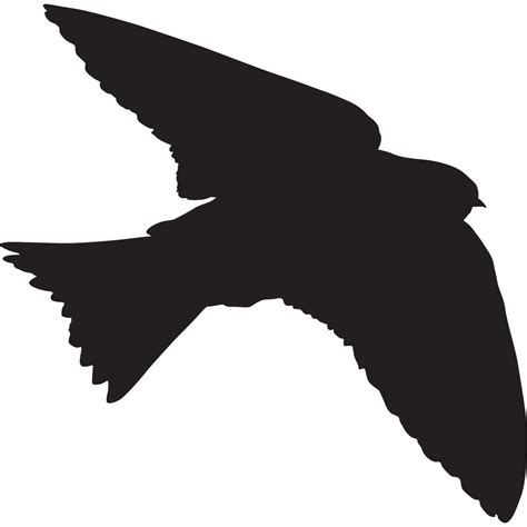 Silhouette Swallow Transparent | PNG All