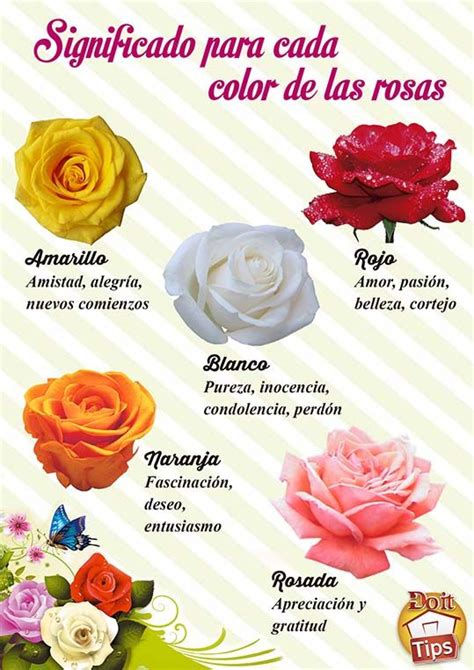 Significado De Los Colores De Las Rosas - Almacenamiento De Archivos