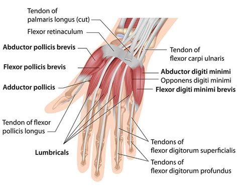 Treating Hand and Wrist Pain | Stevens Point Orthopedics