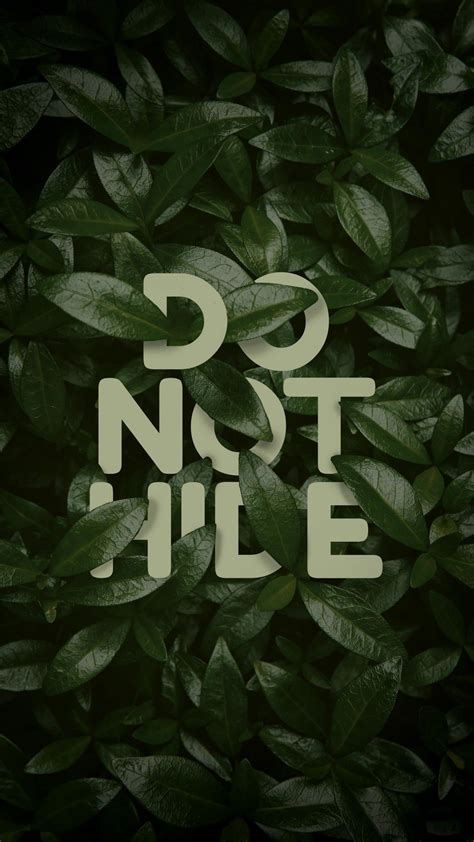 Do Not Hide Wallpaper - [1080x1920] | Summer wallpaper, Wallpapers for mobile phones, Nature ...