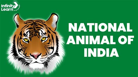 National Animal of India- Important facts on Tiger