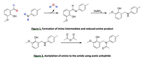 Reductive Amination 1. In the reduction of the imine | Chegg.com