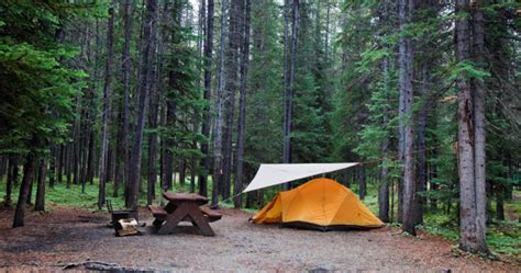 Frustrations still reported as B.C.’s new camping reservation website ...