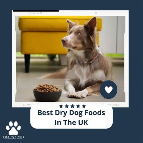 The 15 Best Dry Dog Foods In The Uk of 2023