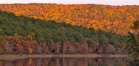 Mount Magazine State Park | Arkansas State Parks