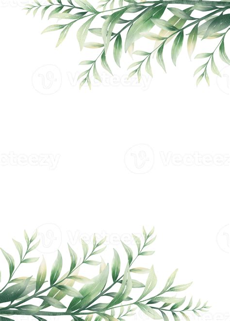 Green watercolor leaves 11660329 PNG