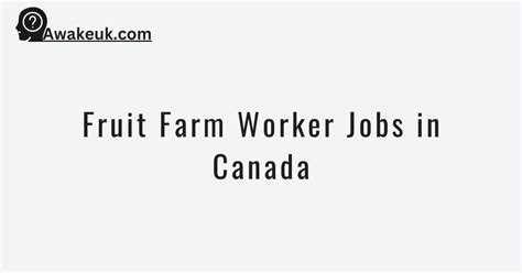 Fruit Farm Worker Jobs in Canada 2024 - Apply Here