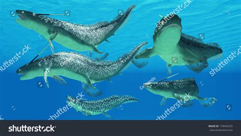 Devonian Xenacanthus Fish Xenacanthus Prehistoric Shark Stock Illustration 178459235