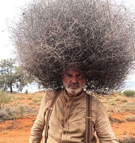 tumbleweed afro | Funny pictures, Funny people, Bones funny