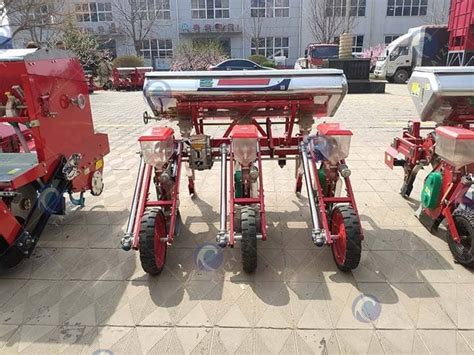 Wheat Seed Planter With Fertilizer Wheat Planting Machine