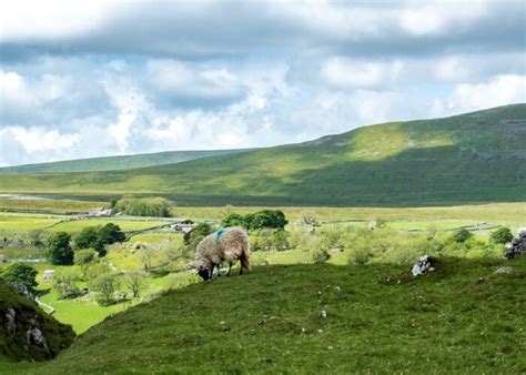 Guided Walking for Singles and Solos in the Yorkshire Dales