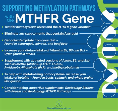 MTHFR, Hashimoto's, and Nutrients - Dr. Izabella Wentz