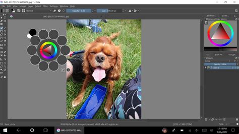 Krita for Windows 10 is a potential Paint replacement that helps you ...