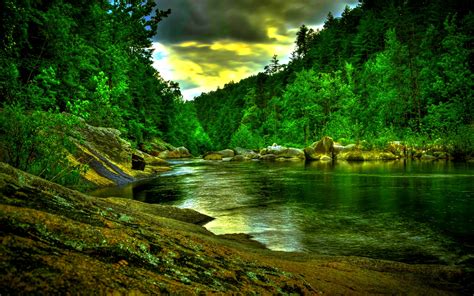 Amazon Rainforest Wallpaper - Wallpaper, High Definition, High Quality, Widescreen