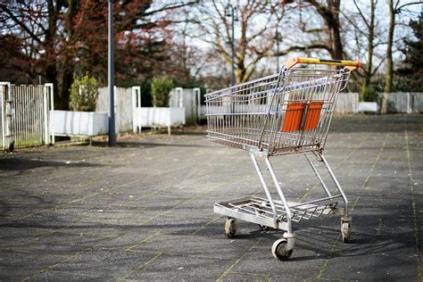 grey grocery cart, cart, grocery, outdoor, trees, plant, shopping Cart, shopping, consumerism ...