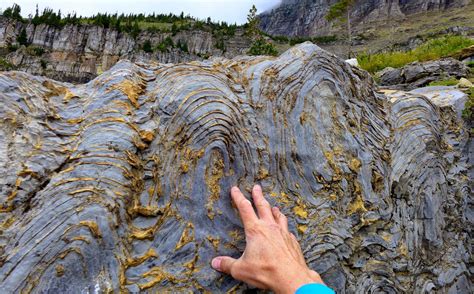 Stromatolites in Glacier National Park Rocks And Fossils, Geology Rocks, Big Sky Montana ...