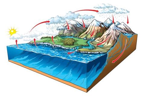 Hidrosfera - Toda Matéria | Trabalho de geografia, Geografia, Geleiras