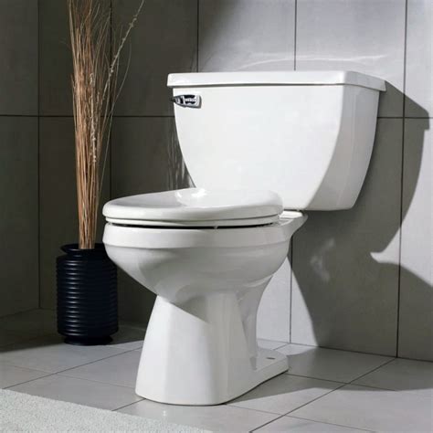 Types Of Flushing Mechanisms In Toilets - Gold Coast Plumbing Company