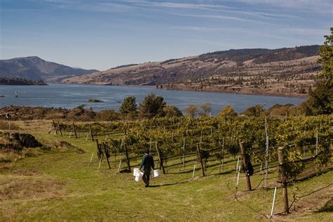 12 Best Hood River Wineries to Visit in Northern Oregon - Go Wander Wild