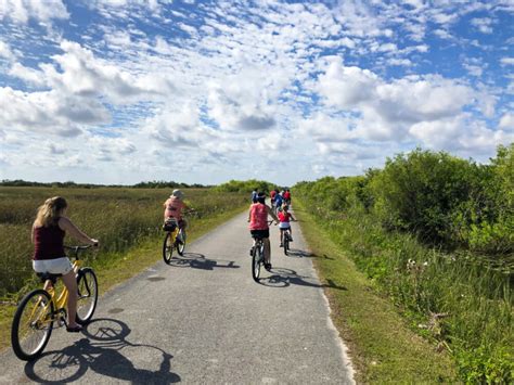 Shark Valley Bike Trail: Biking with Alligators at your Feet - Scenic ...