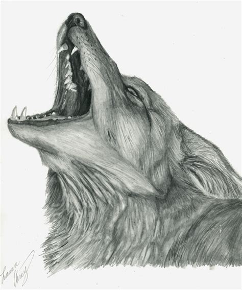 Howling Coyote by MorRokko on DeviantArt