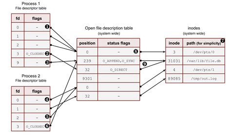 File descriptor and open file description | Viacheslav Biriukov