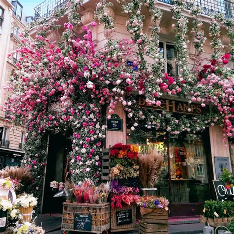 8 Flower Shops in Paris You Don't Want to Miss