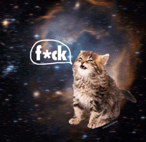 Cat Astronaut GIFs - Find & Share on GIPHY