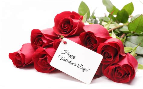 Valentine's Day Roses Wallpapers - Top Free Valentine's Day Roses ...