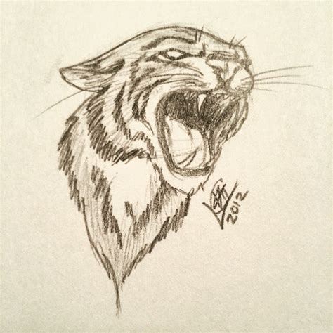 Realistic Wildcat Drawing