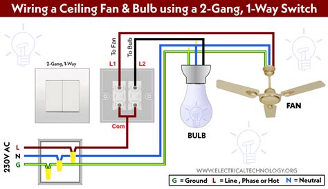 How to Wire Double Switch? 2-Gang, 1-Way Switch - IEC & NEC