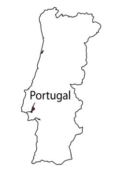 Portugal Blank Map PNG Transparent Images Free Download | Vector Files | Pngtree