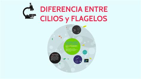 DIFERENCIA ENTRE CILIOS y FLAGELOS by Yasmin Gomez on Prezi