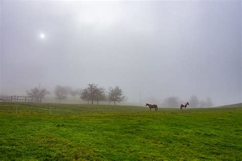Foggy Landscape | .hd. | Flickr