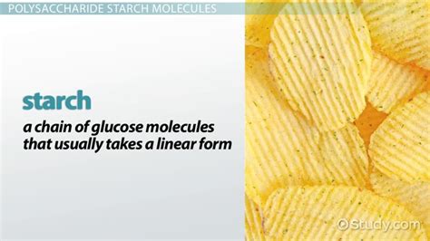 Polysaccharide: Definition & Examples - Video & Lesson Transcript | Study.com