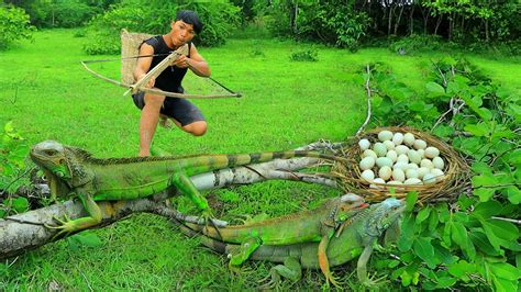 Survival in the rainforest-Man meet green iguana with egg | Cook egg green iguana-Eating ...