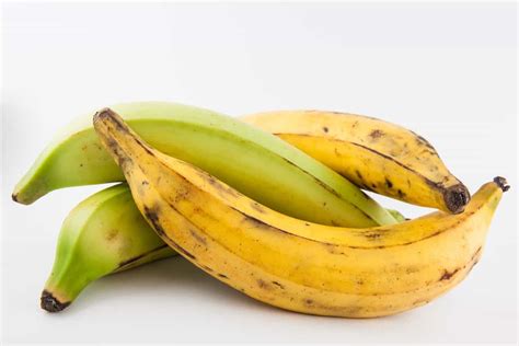 13 Different Types of Bananas – PopOptiq